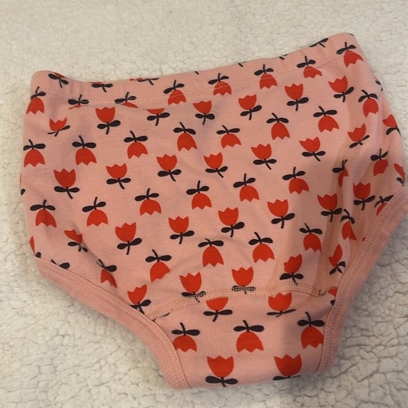 Hanna Andersson girls undies NWT - Picture 4 of 5